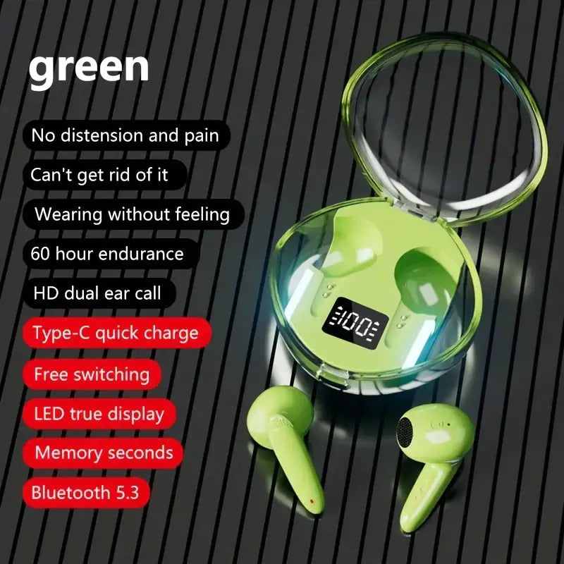 Premium Wireless Earbuds with RGB Charging Case